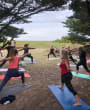 sunset yoga tree
